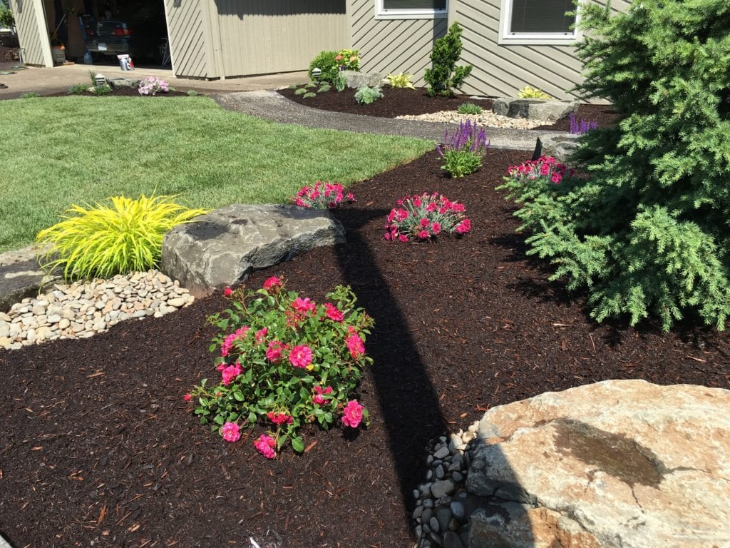 Boulders Plants Custom Landscaping