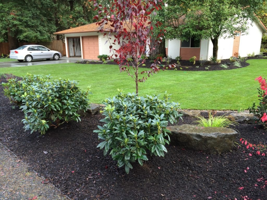 Boulders Plants Custom Landscaping