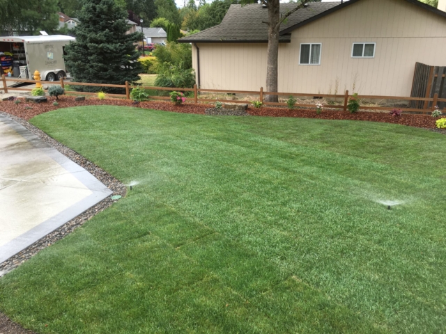 New Sod Lawns