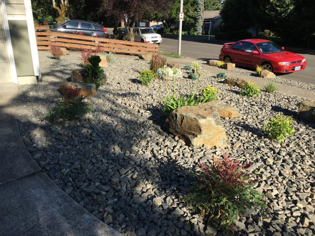 Boulders Plants Custom Landscaping