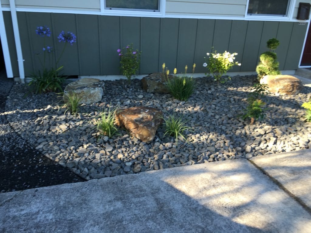 Boulders Plants Custom Landscaping