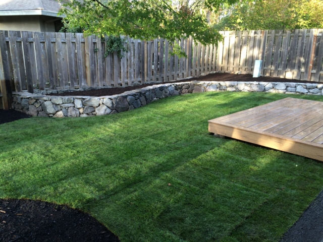 New Sod Lawns