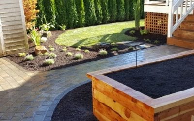 Landscape Renovation