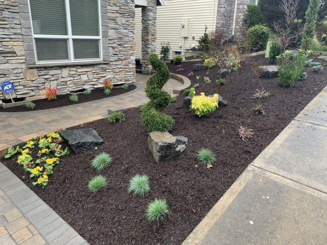 Professional Landscape Design