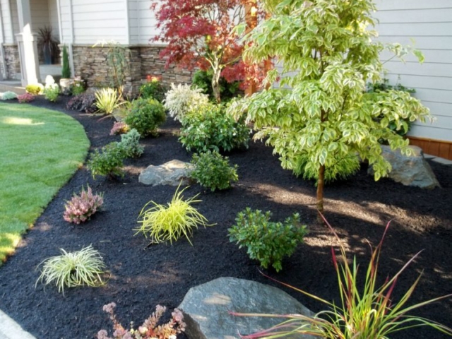 Professional Landscape Design